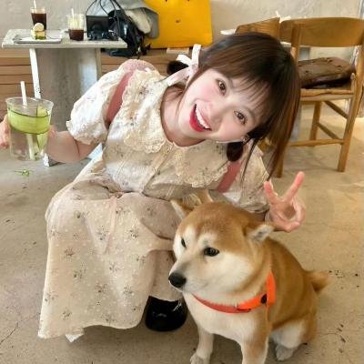 搅局专家